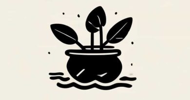 Describe The Pottawatomie Creek Massacre