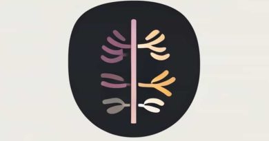 Diagramming The Abdominopelvic Quadrants Ppt