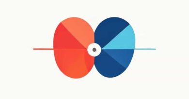 Difference Between Warp And Weft