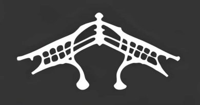 Do Cartilaginous Joints Allow Movement