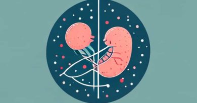 Do Chromosomally Abnormal Embryos Implant