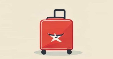 Domestic Baggage Allowance Air India