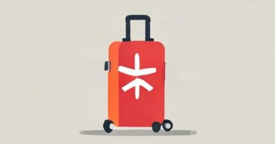 Economy Light Austrian Airlines Baggage