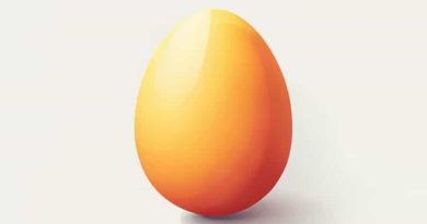 Egg Pipped 24 Hours Ago