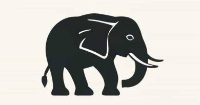 Elephant 137th Edition Ringling Bros