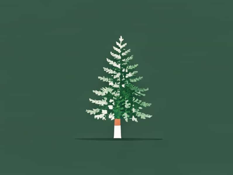 Evergreen Tree Variety Crossword Clue