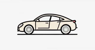 Extensor Carpi Radialis Longus Innervation