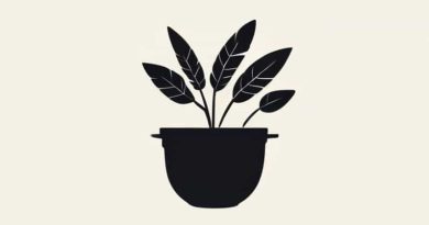 Facts About The Pottawatomie Massacre