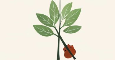 Fake Fiddle Leaf Fig Tree