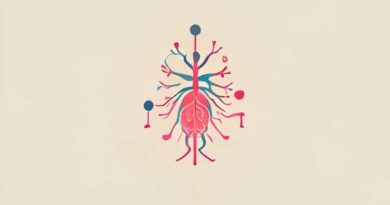 Fetal Autonomic Nervous System Development