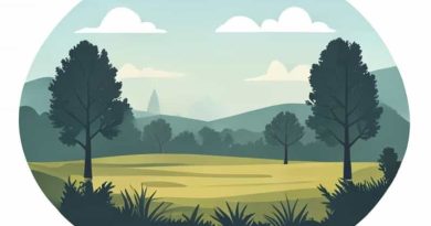 First Day At Chancellorsville Battlefield