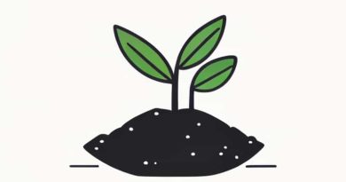 First Plants To Colonize Land