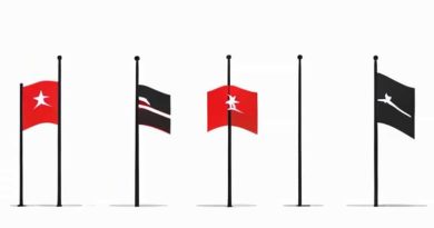 Flags At Half Mast Today