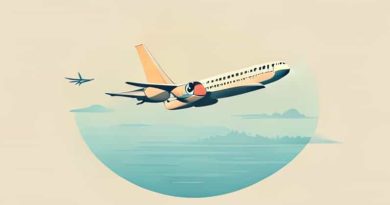 Flight From Bangalore To Srinagar