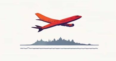 Flight From Delhi To Srinagar