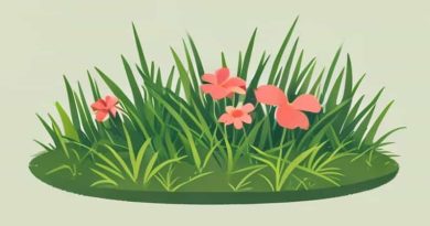 Flower Bed Overgrown With Grass