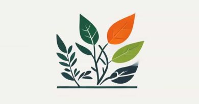 Gdp Per Capita Timor Leste