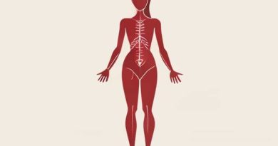 General Anatomy And Physiology Milady