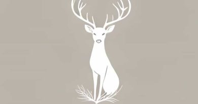 Gestation Period For Whitetail Deer