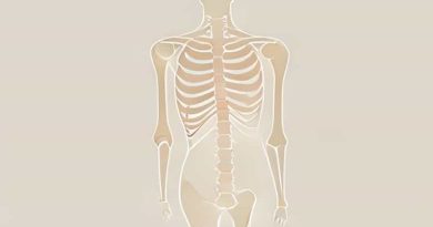 Glenohumeral Joint Alignment Is Anatomic