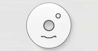 Globular Process And Maxillary Process