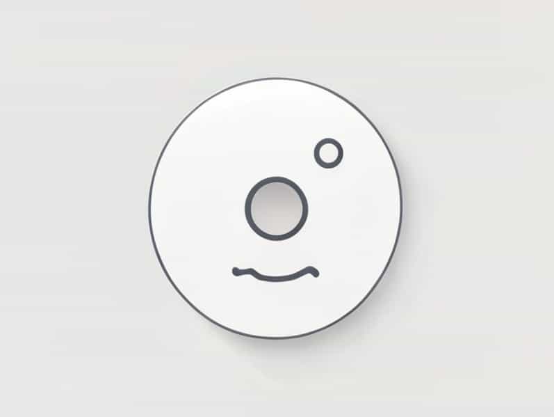 Globular Process And Maxillary Process