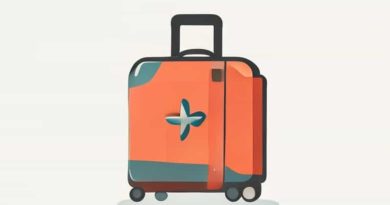 Go Basic Cebu Pacific Baggage