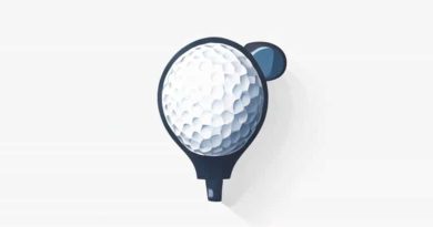 Golf Pride Mcc Plus 4