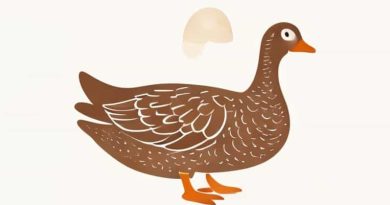 Gressingham Aromatic Half Crispy Duck