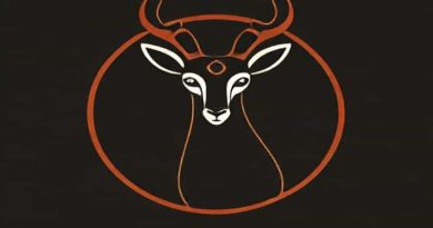 Nayela Okapi X For Sale