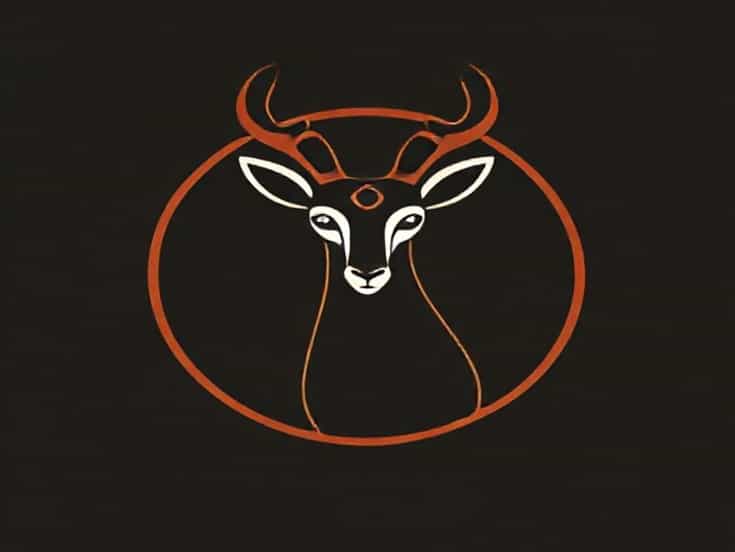 Nayela Okapi X For Sale