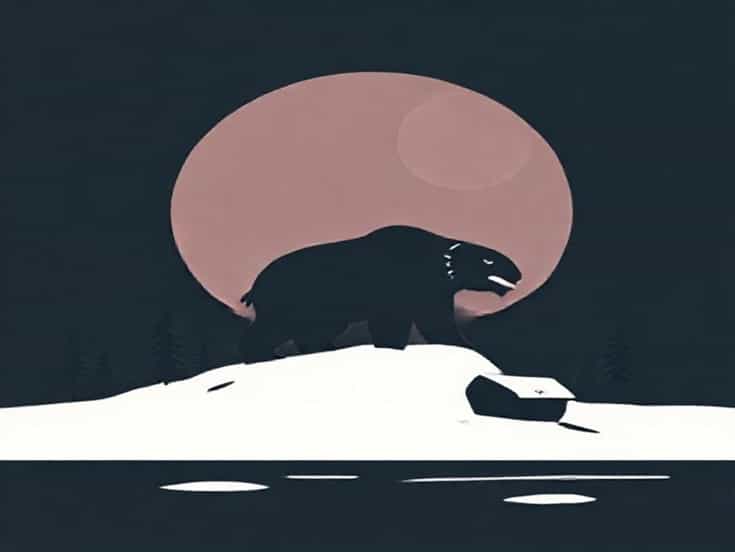 Northwest Passage Terror And Erebus