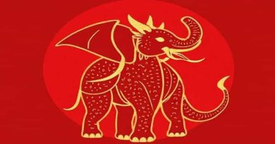 Novel Immemorial Dragon Elephant Art