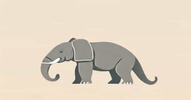 Oklahoma City Zoo Pachyderm Building