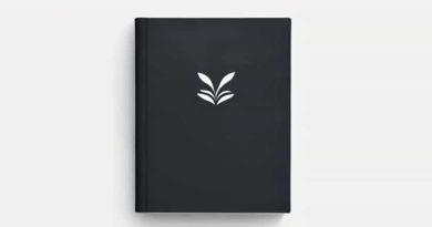 One And Only Ivan Book