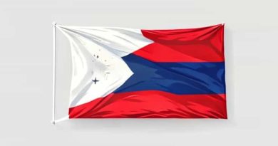 Philippine Flag Background For Pictorial