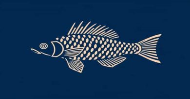 Queen Arabesque Pleco Tank Size