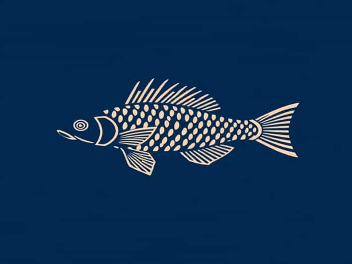 Queen Arabesque Pleco Tank Size