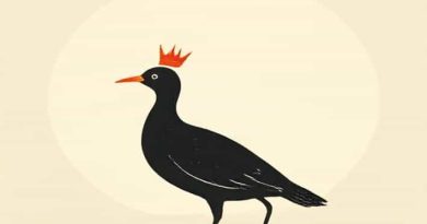 Queen Moorhen Wof Graphic Novel