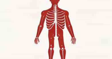 Quiz On Anatomical Directional Terms