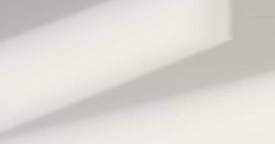 Range Of Audibility Crossword Clue