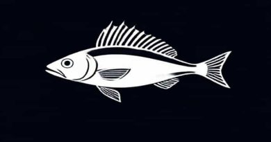 Ray Finned Fish Devonian Period