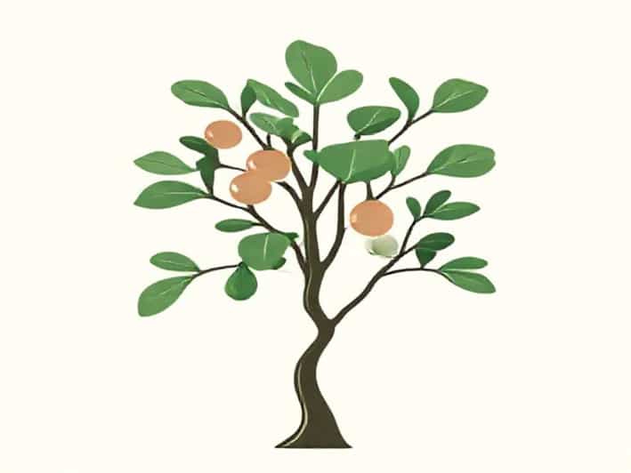 Real Fiddle Leaf Fig Tree