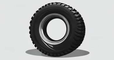 Robert The Murderous Car Tire