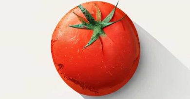 Rotten Tomatoes The Reluctant Traveler