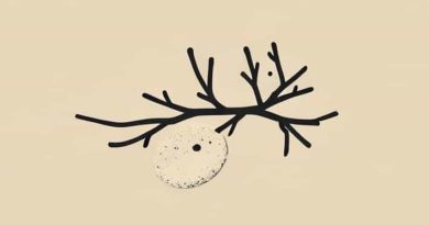 Rough Bough Cough Dough Poem