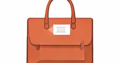 Satchel And Page Mailbag Review