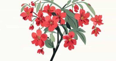 Shrub With Pendulous Red Flowers