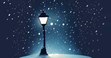 Snowfall By Streetlamp Night Light