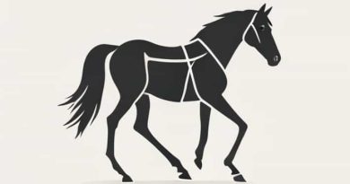 Sprained Fetlock Joint In Horses